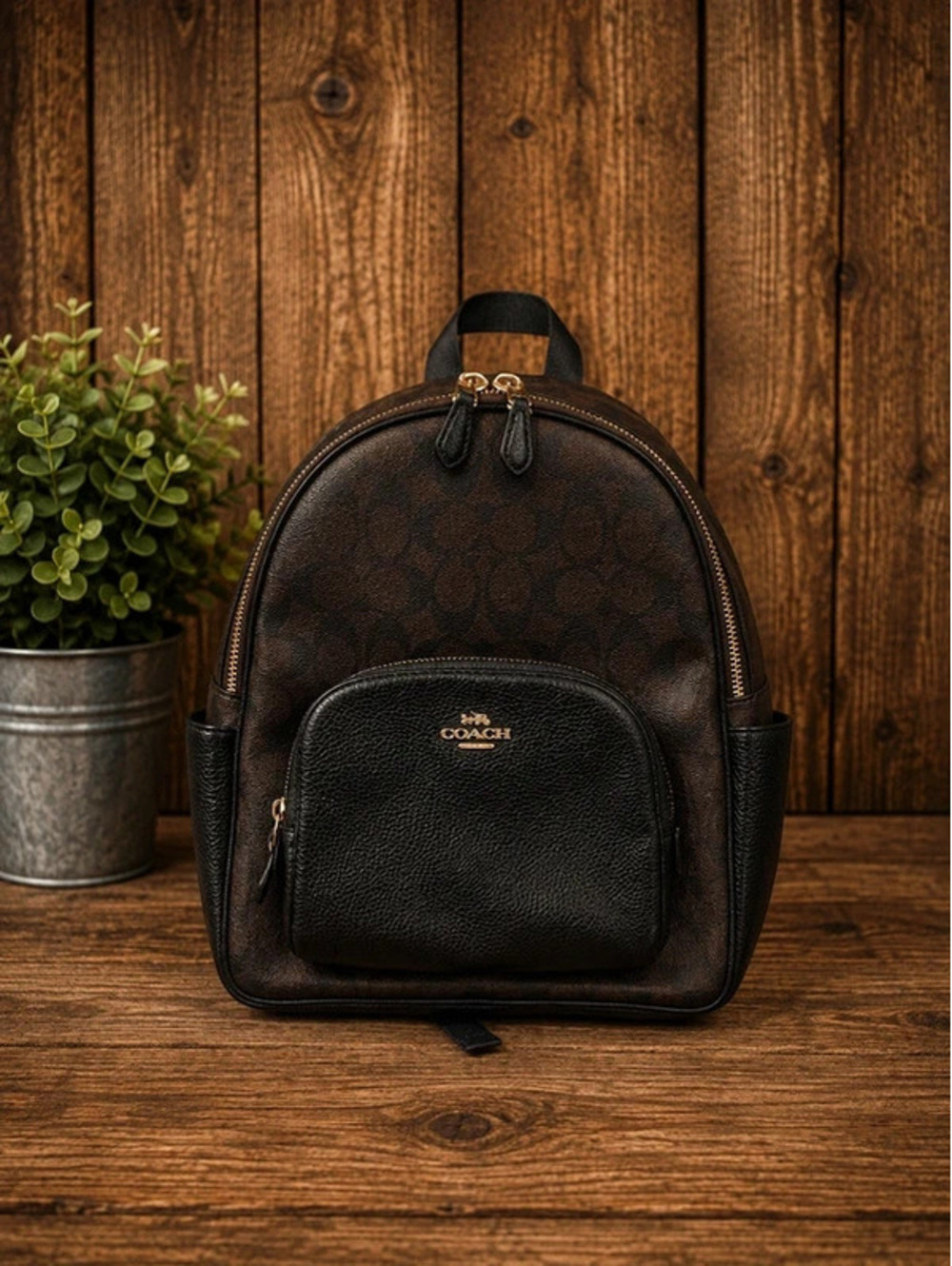 Coach charter backpack in signature canvas, brown and black